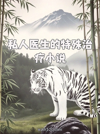 私人医生的特殊治疗小说