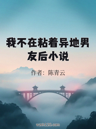 我不在粘着异地男友后小说