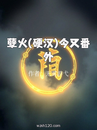 孽火(硬汉)今又番外