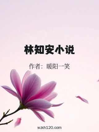 林知安小说
