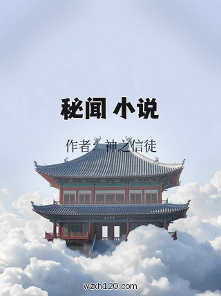 秘闻 小说