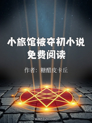 小旅馆被夺初小说免费阅读