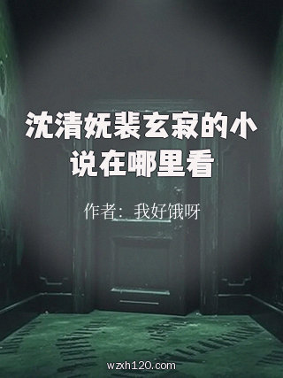 沈清妩裴玄寂的小说在哪里看