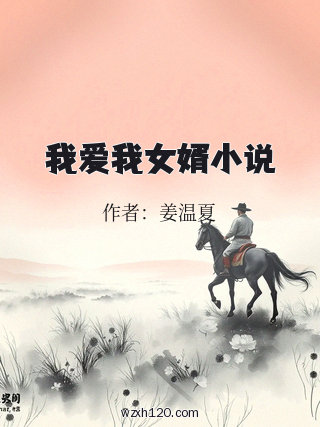 我爱我女婿小说