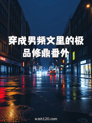 穿成男频文里的极品修鼎番外