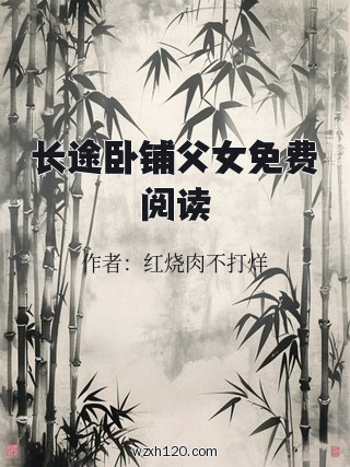 长途卧铺父女免费阅读