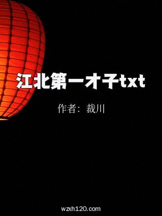 江北第一才子txt