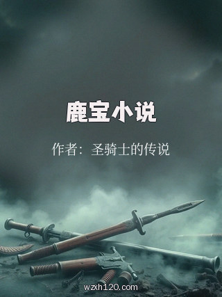 鹿宝小说