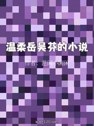 温柔岳吴芬的小说