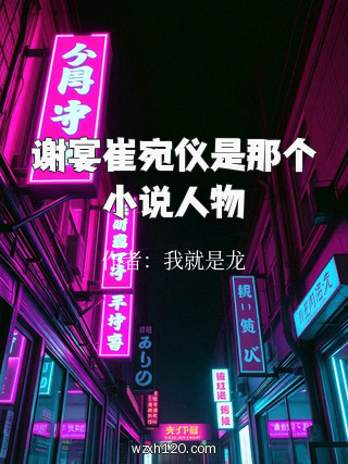 谢宴崔宛仪是那个小说人物
