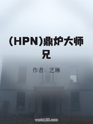 (HPN)鼎炉大师兄