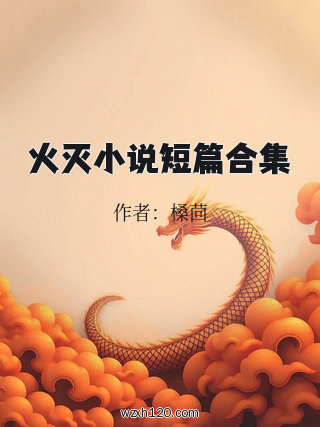 火灭小说短篇合集