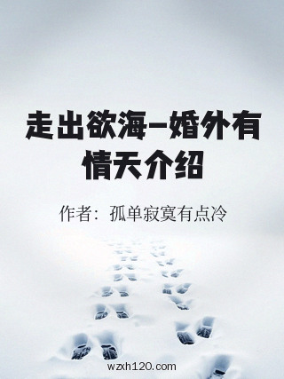 走出欲海-婚外有情天介绍