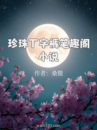 珍珠丁字裤笔趣阁小说