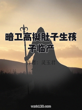 暗卫高挺肚子生孩子临产