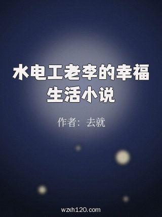 水电工老李的幸福生活小说