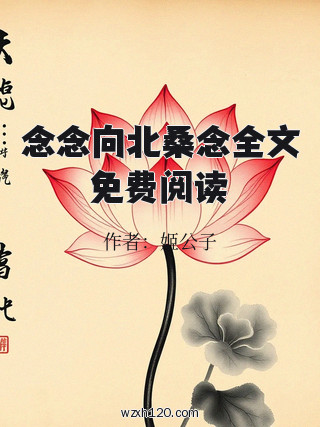 念念向北桑念全文免费阅读