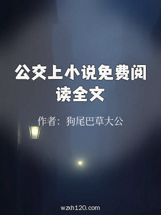 公交上小说免费阅读全文