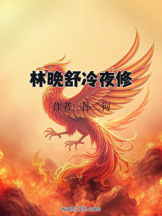 林晚舒冷夜修