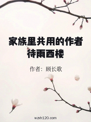 家族里共用的作者待雨西楼