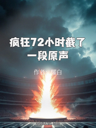疯狂72小时截了一段原声