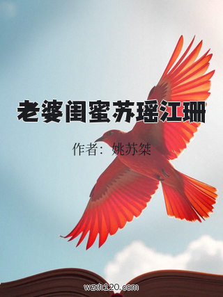 老婆闺蜜苏瑶江珊