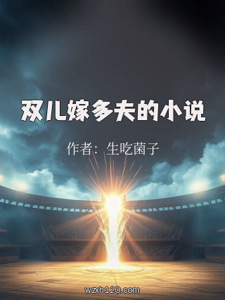 双儿嫁多夫的小说