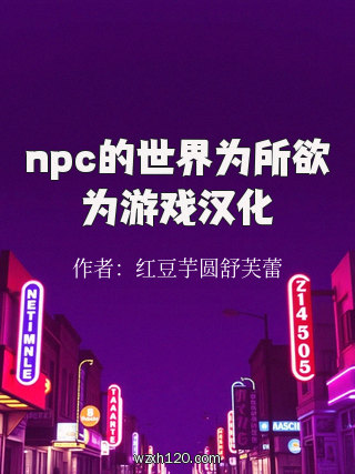 npc的世界为所欲为游戏汉化