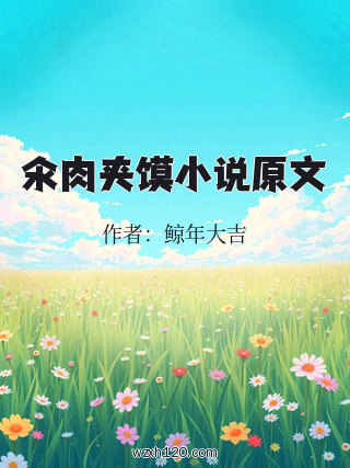 氽肉夹馍小说原文