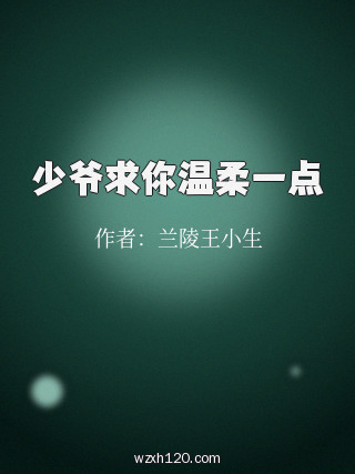 少爷求你温柔一点