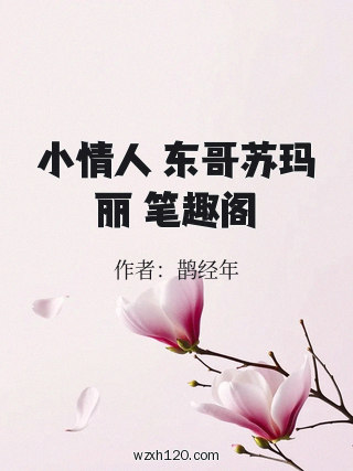 小情人 东哥苏玛丽 笔趣阁