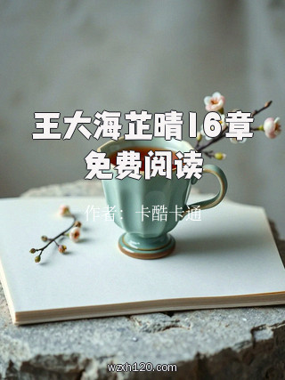 王大海芷晴16章免费阅读