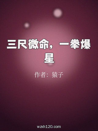 三尺微命，一拳爆星