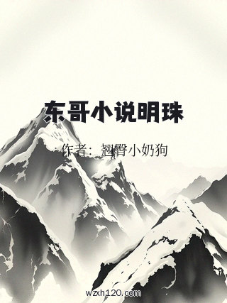 东哥小说明珠