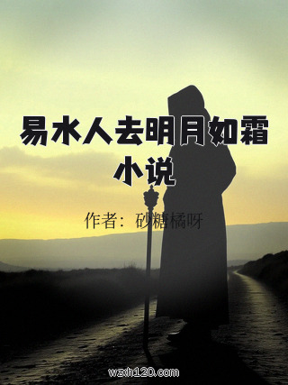 易水人去明月如霜小说