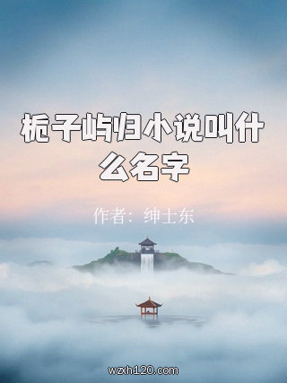 栀子屿归小说叫什么名字