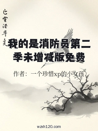我的是消防员第二季未增减版免费