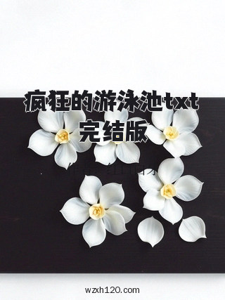 疯狂的游泳池txt完结版