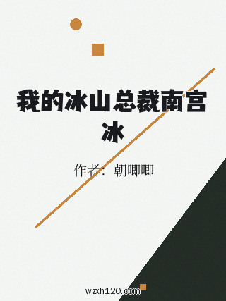 我的冰山总裁南宫冰