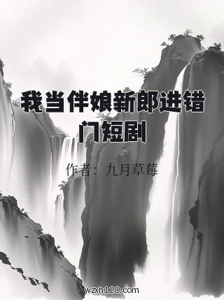 我当伴娘新郎进错门短剧