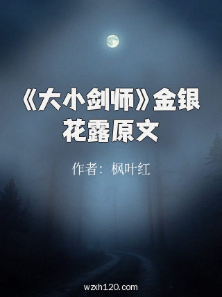 《大小剑师》金银花露原文
