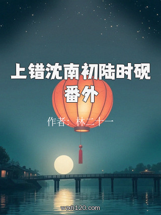 上错沈南初陆时砚番外