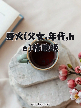 野火(父女,年代,he)林晚晚
