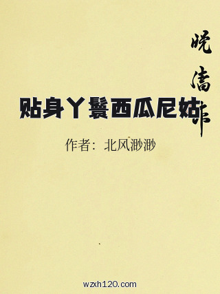 贴身丫鬟西瓜尼姑