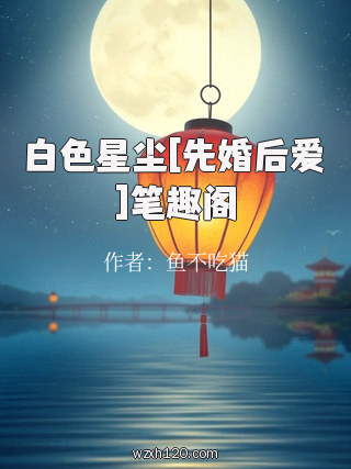 白色星尘[先婚后爱]笔趣阁