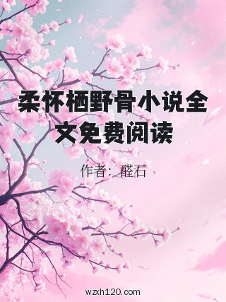 柔怀栖野骨小说全文免费阅读