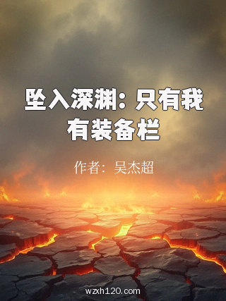 坠入深渊:只有我有装备栏