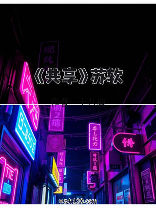 《共享》苏软