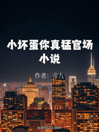 小坏蛋你真猛官场小说