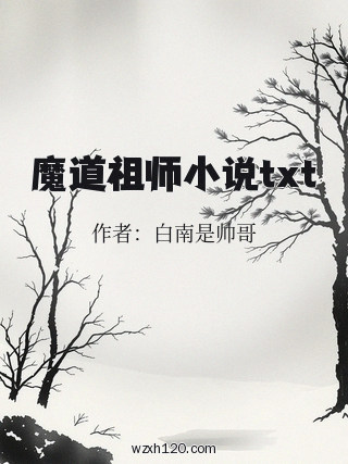 魔道祖师小说txt